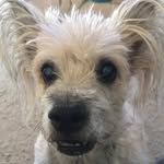 Patsy Kessler-Cooper - @patsykesslercooper - Instagram