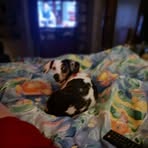 Patsy Kilpatrick - Facebook