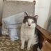 Patsy Kenny - Facebook