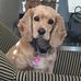 Patsy Kirby - Facebook