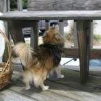 Patsy Kitchen - Facebook