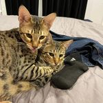 Patsy Knapp - @patsyknapp - Instagram