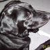 Patty Knapp - Facebook