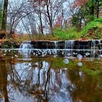 Patsy Knowlton - Facebook