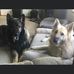 Patty Kowalski - Facebook