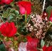 Patsy Kruse - Facebook