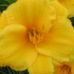 Patty Kruse - Facebook