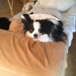 Patsy 💋 - @patsy.kuhnhenn - Instagram