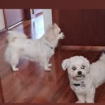 Patsy Lake - @patricialake172 - Instagram