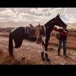 Patsy Lange - @lange.patsy - Instagram