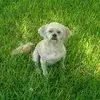 Patty Langford - @patty.langford2 - TikTok