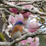 Patsy Jordan Larson - @mypatums - Instagram