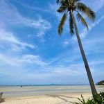 Patsy Larson - @patsylarson84 - Instagram