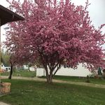 Patsy Larson Cox - @gramma_patsy6 - Instagram