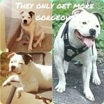Patsy Lawrence - @patsy.lawrence.7758 - Instagram