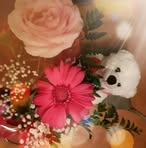 Patsy Lejeune - Facebook