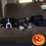 Patty Leonard - @patty.leonard.79 - Instagram