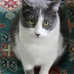 Patty Leonard Woodland - @patty_leonard_woodland - Instagram