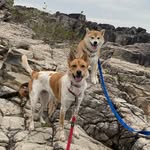 Patsy Leung - @patsyleung6 - Instagram