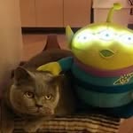 Patsy Leung - @fatcat6444 - Instagram