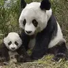 Patti Leung - @2168088618 - TikTok
