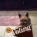 Lou Patsy Lindsay - @plinds112255 - Instagram