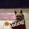loupatsylindsay - @lou.patsy.lindsay - TikTok