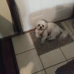 Patsy Lindsey - @patsy.lindsey.1690 - Instagram