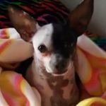 Liuba - @liubovpatsyuk2006 - Instagram