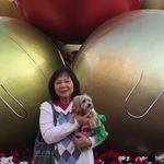Peter Liu - @patsysliu - Instagram