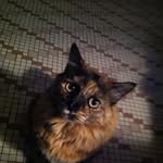Patsy Lloyd - @lloydpatsy - Instagram