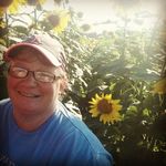 Patty Lord - @sunflowermeadows - Instagram