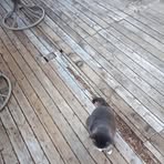 Patsy Lloyd - Facebook