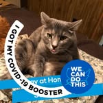 Patsy Lloyd - @patsy.lloyd.750 - Instagram