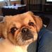 Patsy Baldwin Lutz - Facebook