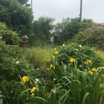 Patsy Maclean - @maclean.patsy - Instagram