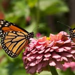 Patsy Glover - @glover.patsy.madison.7.19856 - Instagram