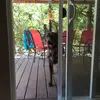 Patty Madison - @pattymad59 - TikTok