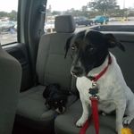 Patsy Magee Martin - @pkm032071 - Instagram