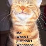 Patsy Mahar - @maharpatsy - Instagram