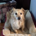 Patsy Mahon - Facebook