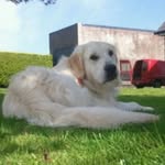 Patsy Mangan - @patsy.mangan.9 - Instagram