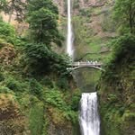 Patsy Sewell Mann - @patsy.mann - Instagram