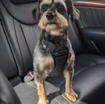 Patsy Manning - Facebook