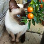 Patricia Marks - @patsy.j.marks - Instagram