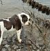 Patsy Marlow Rhines - Facebook