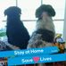 Patsy Maxey - Facebook