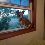 Patsy Mays - @peogagirl - Instagram
