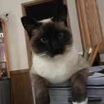 Patsy Mays Napier - @patsymaysnapier - Instagram