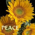 Patsy Joann mathis-McBee - @patsy.mcbee - Instagram